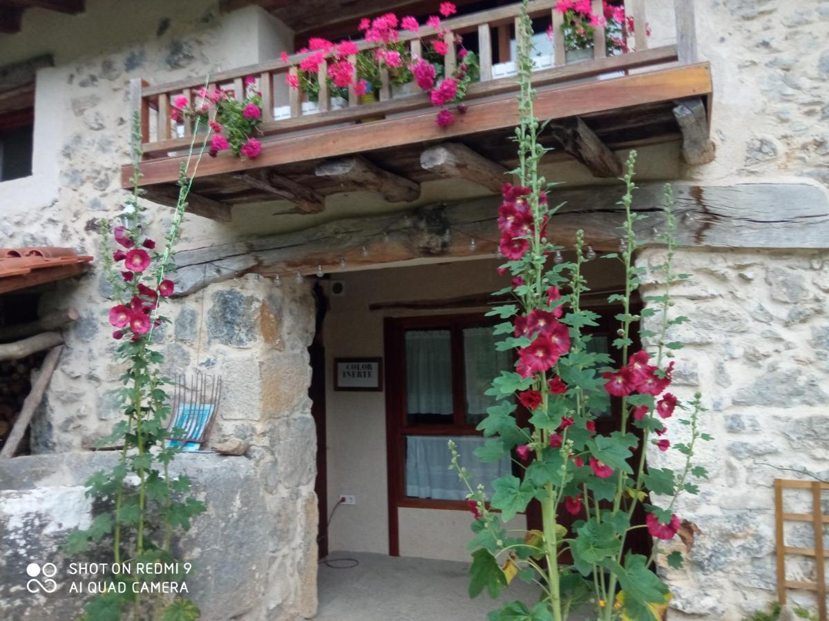 Belaustegi Turismo Rural Ispáster Εξωτερικό φωτογραφία