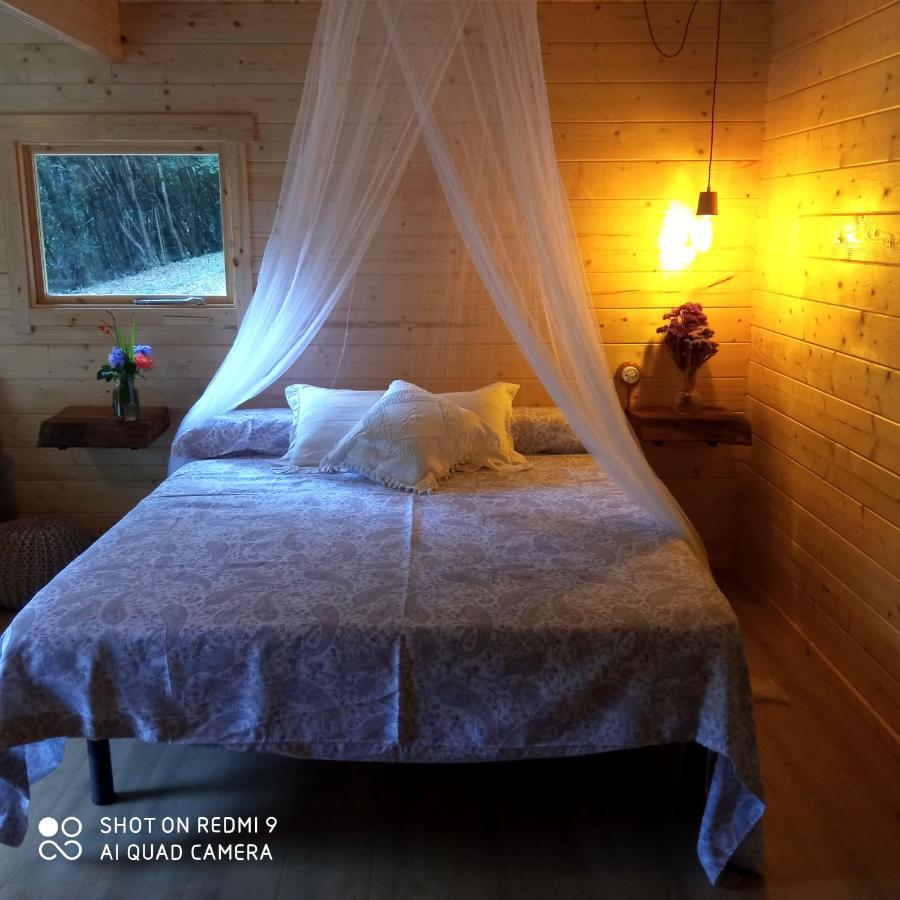 Belaustegi Turismo Rural Ispáster Εξωτερικό φωτογραφία